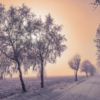 Are you prepared for stock market winter?