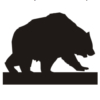 Bear market: a curse or a blessing?
